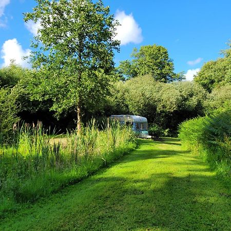 Budget Stay, In Lovely Private Setting With Rustic Charm, Log Burner, Fire Pit, Campers Kitchen & Eco Loo No Bedding Supplied Narberth Exteriör bild