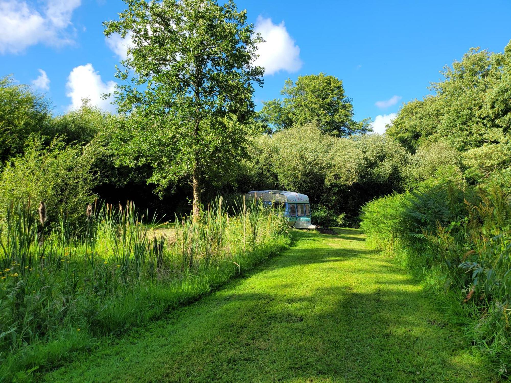 Budget Stay, In Lovely Private Setting With Rustic Charm, Log Burner, Fire Pit, Campers Kitchen & Eco Loo No Bedding Supplied Narberth Exteriör bild